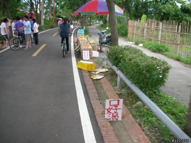 東豐自行車道~超讚