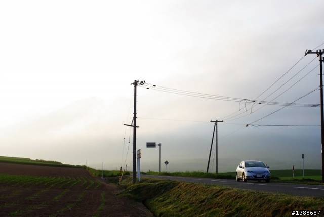 乘風の旅! Honda Insight