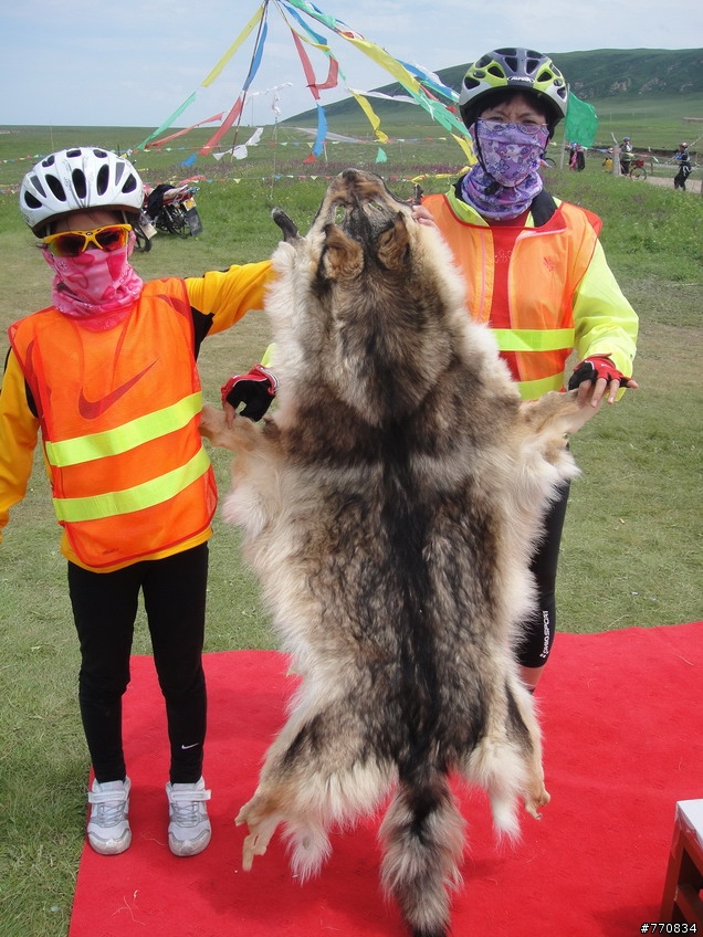 我9歲! 我也能快樂的騎單車 4 天環青海湖