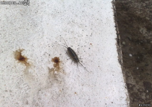 小黑帶我出去玩~2010.7.25~28環島行