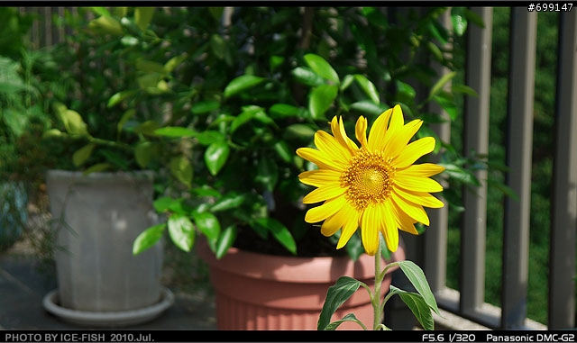 Panasonic LUMIX G2 黑色開箱