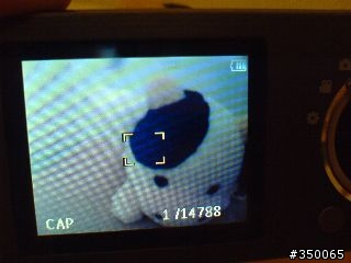PHILIPS GoGear Cam MP4 初體驗