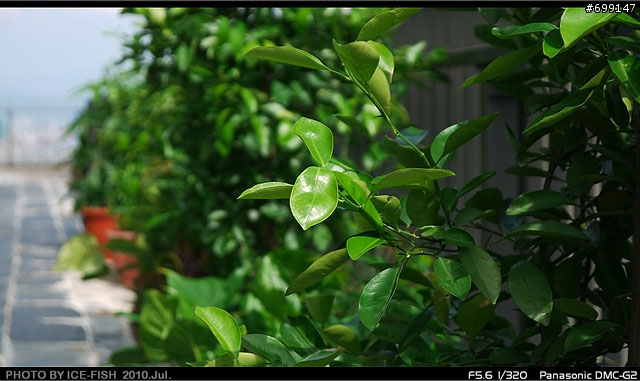 Panasonic LUMIX G2 黑色開箱