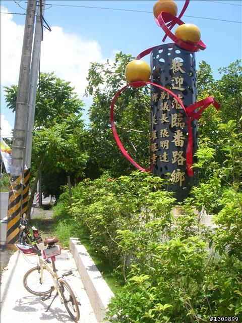 130公里環嘉義友誼賽之布崎迴嘉
