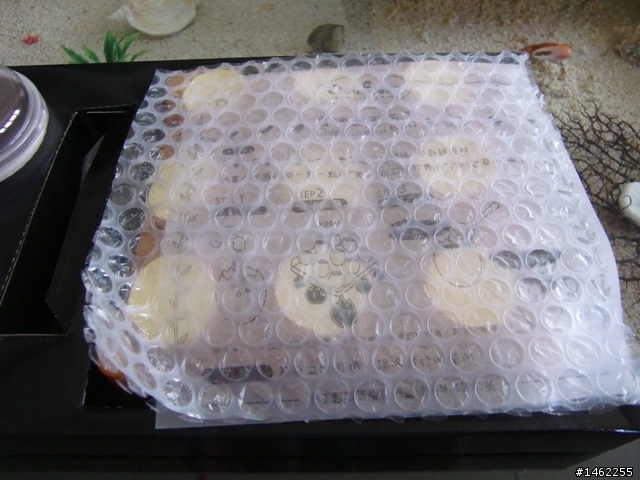 查理布朗之雞蛋"殼"布丁嘗鮮