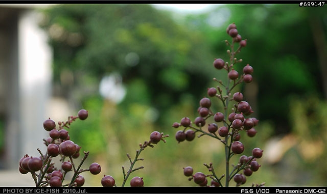 Panasonic LUMIX G2 黑色開箱