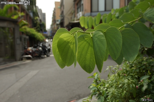 NEX-5 接 SONY 16mm F2.8 及轉接 NIKON 16-35mm F2.8 測試