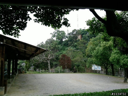 殘念的鳳山寺......XD