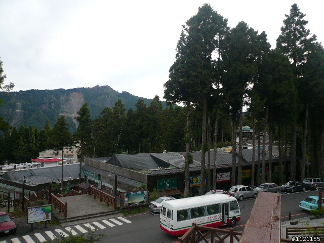 阿里山消暑去