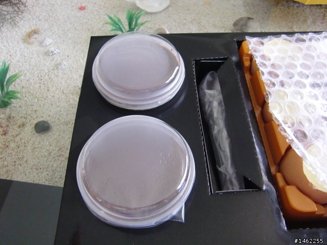 查理布朗之雞蛋"殼"布丁嘗鮮