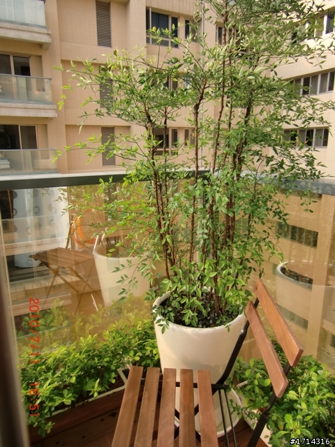 耗了近大半年.本來裝修簽約2月.到最後6月才交屋.之中所謂的"蔡設計師"協助我到現場監工.也一拖再拖.一延再延