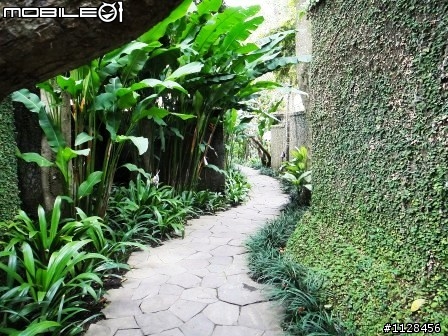 2010巴里島 Kayumanis Ubud & Amankila