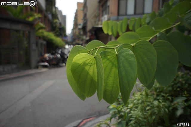 NEX-5 接 SONY 16mm F2.8 及轉接 NIKON 16-35mm F2.8 測試