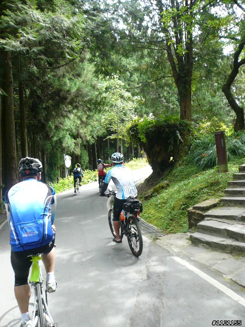 阿里山消暑去