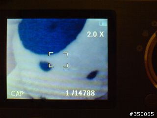 PHILIPS GoGear Cam MP4 初體驗