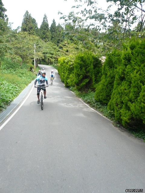 阿里山消暑去