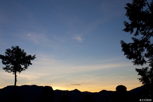 退化的旅程:再征阿里山
