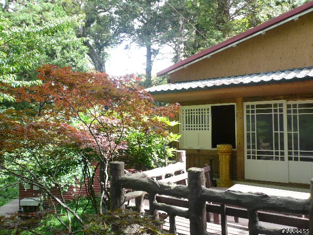 阿里山消暑去