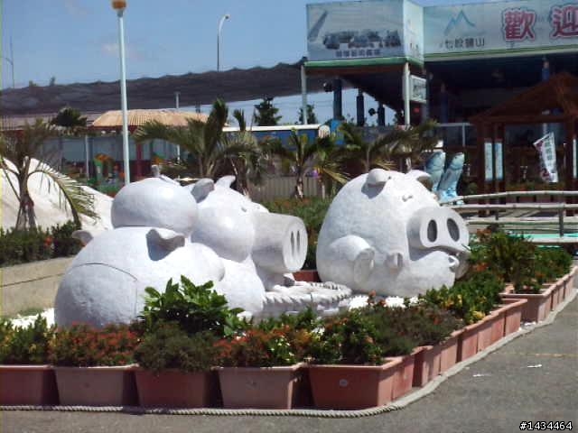 7月4日七股燈塔之旅
