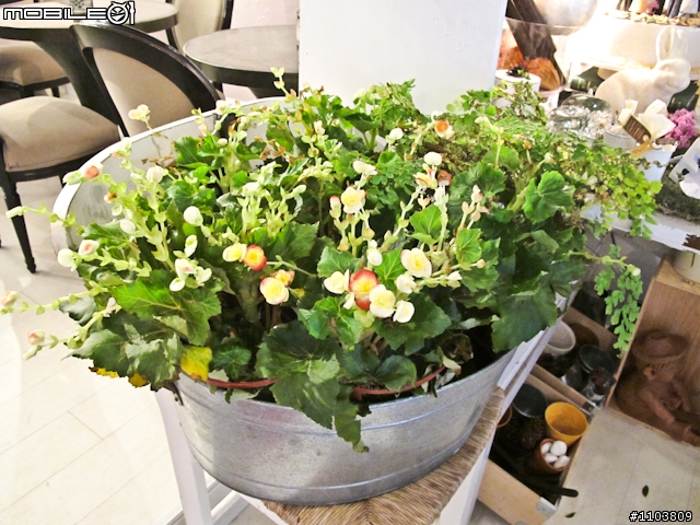 【小編帶你吃】東區貴婦風餐廳,brunch、甜點、下午茶開心吃(上集)
