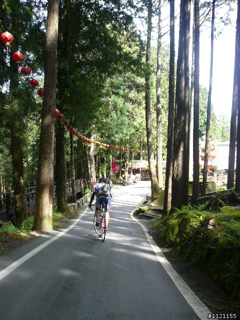 阿里山消暑去