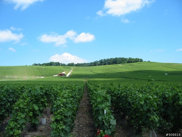 2010環法大賽 第五站, Épernay - Montargis 187.5 Km