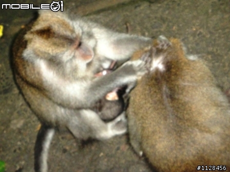 2010巴里島 Kayumanis Ubud & Amankila