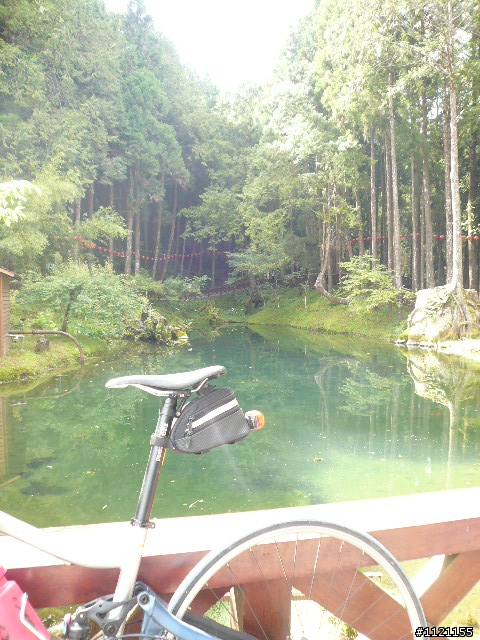阿里山消暑去