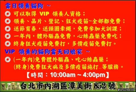 【非廣告文】請以認養代替購買,超值認養日當天認養,終身疫苗免費施打。