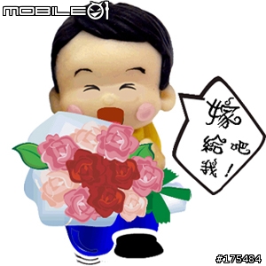 我求婚了...謝謝網友們的祝福及協助...(附影片+照)