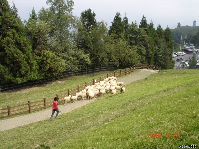 08_21, 22 2010 “武”士精神 , “嶺”會神峰