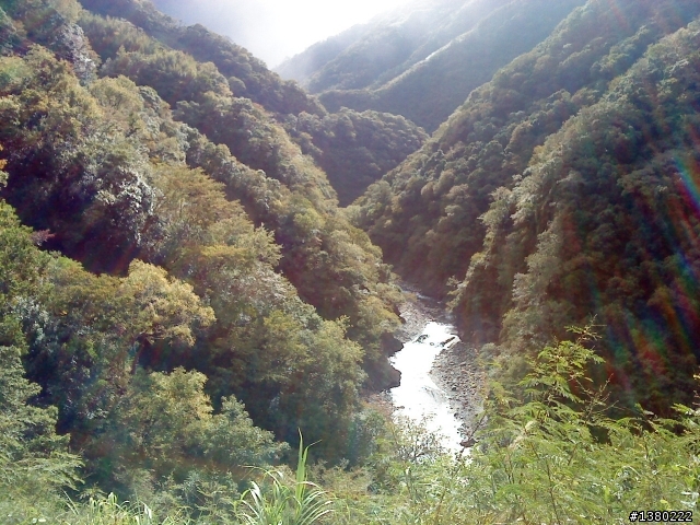 雙北挑戰行 失蹄空惆悵