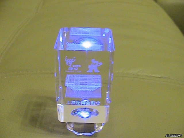 我的上海世博會紀念品(2010年,7月)