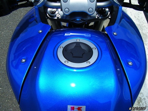 【恰到好處的多功能異獸】~Kawasaki Versys 650