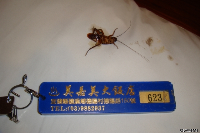 (下集)新營市、一人全環島!1290的旅程
