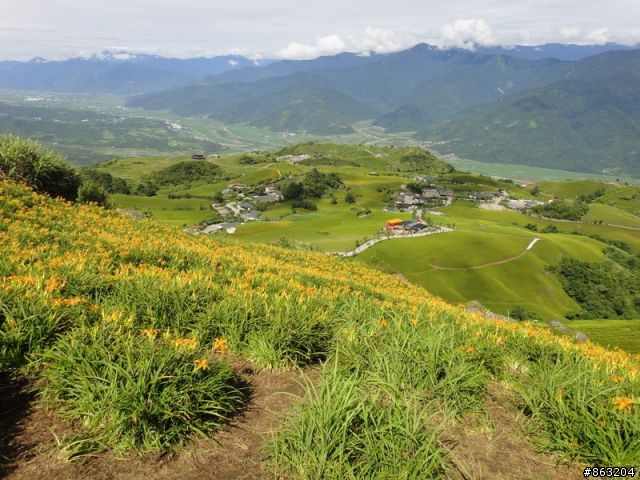 <分享>99.8.18-19金針花暨花東之旅
