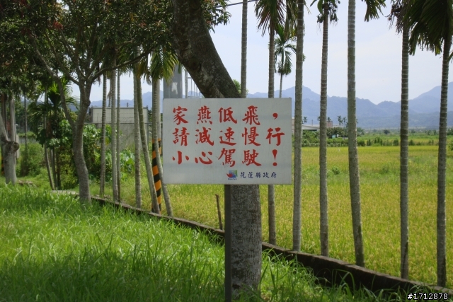 (上集)新營市、一人全環島!1290的旅程