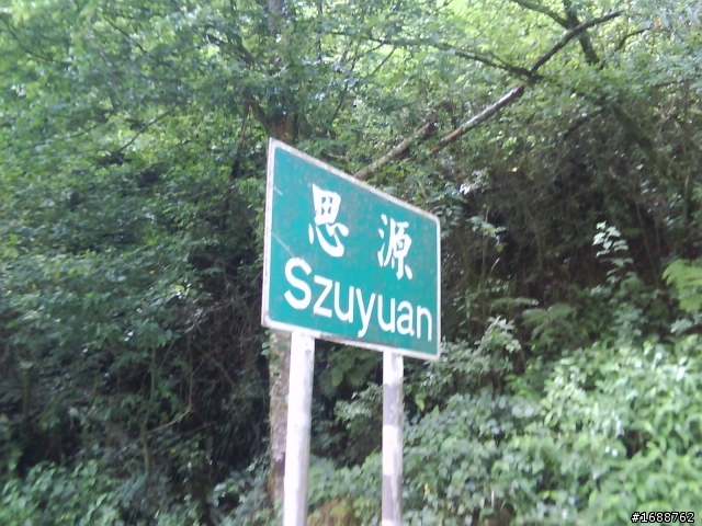 嘉義回高雄 繞遠路 (文有點多)