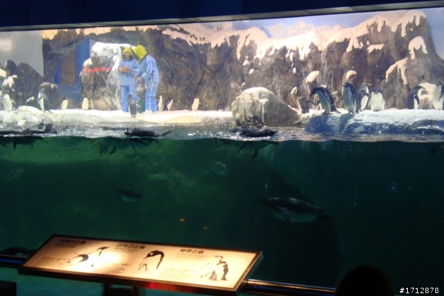 (上集)新營市、一人全環島!1290的旅程
