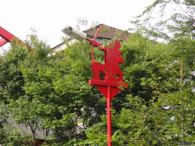 <分享>99.8.18-19金針花暨花東之旅
