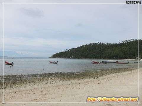 2010重遊蘇美島 (Koh Samui, Thailand)