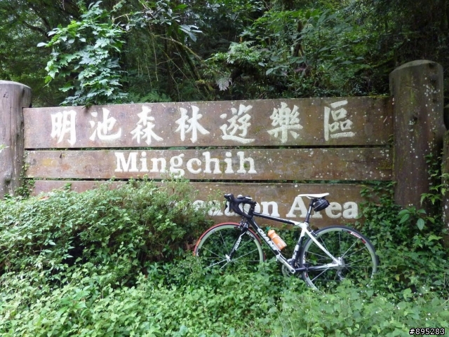 北橫獨走