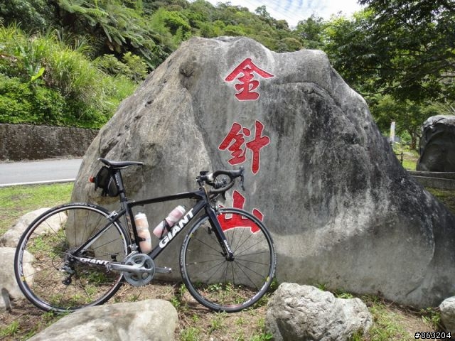 <分享>99.8.18-19金針花暨花東之旅