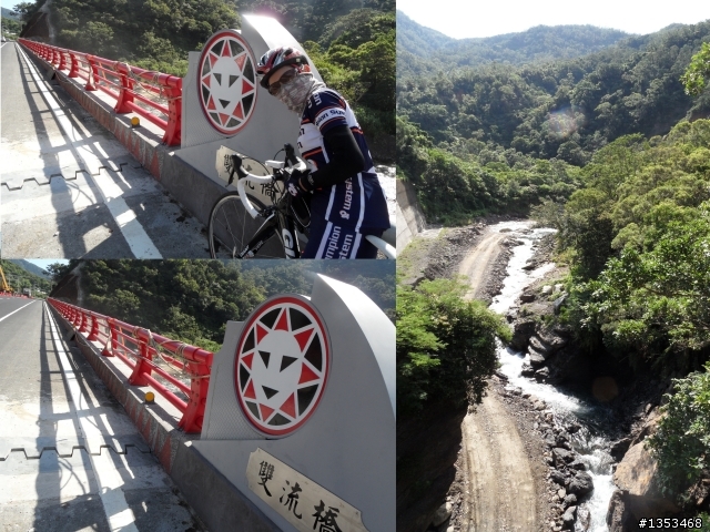 『單車遊記』騎單車賞金針花~~補上原本照片