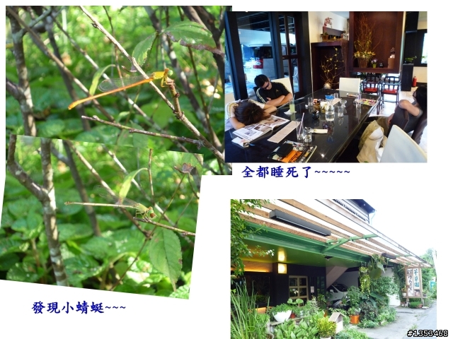 【另纇遊記】走路到花蓮~~~有點長篇請大家耐心點看