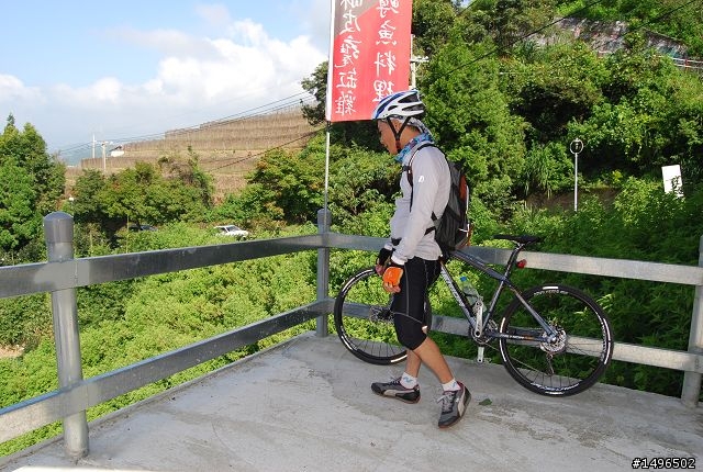 無料......3275的感動