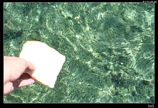 我的南國夏天!小牙籤遊馬來西亞~