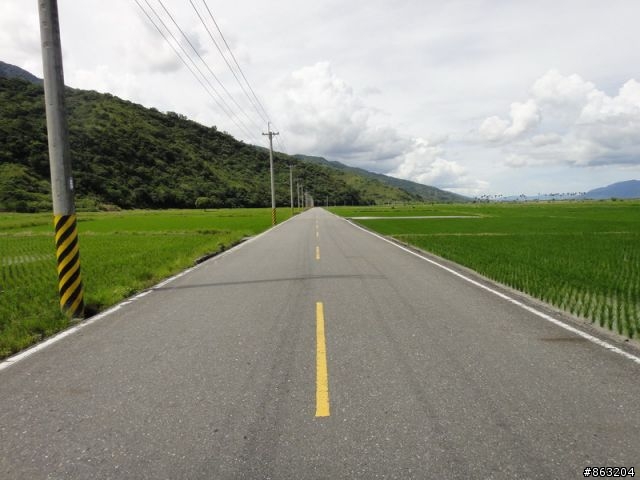 <分享>99.8.18-19金針花暨花東之旅