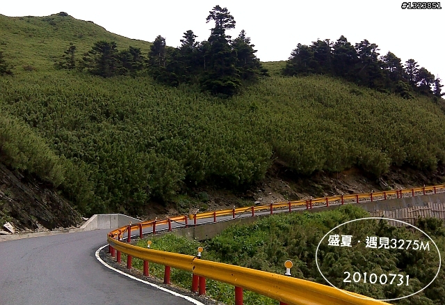 盛夏.遇見3275M