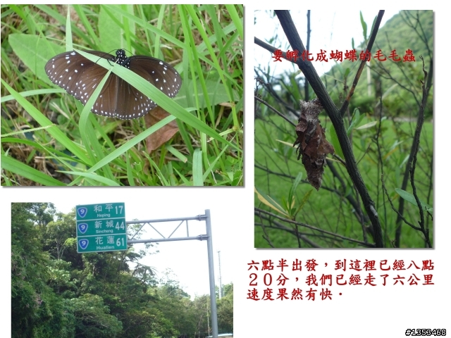【另纇遊記】走路到花蓮~~~有點長篇請大家耐心點看